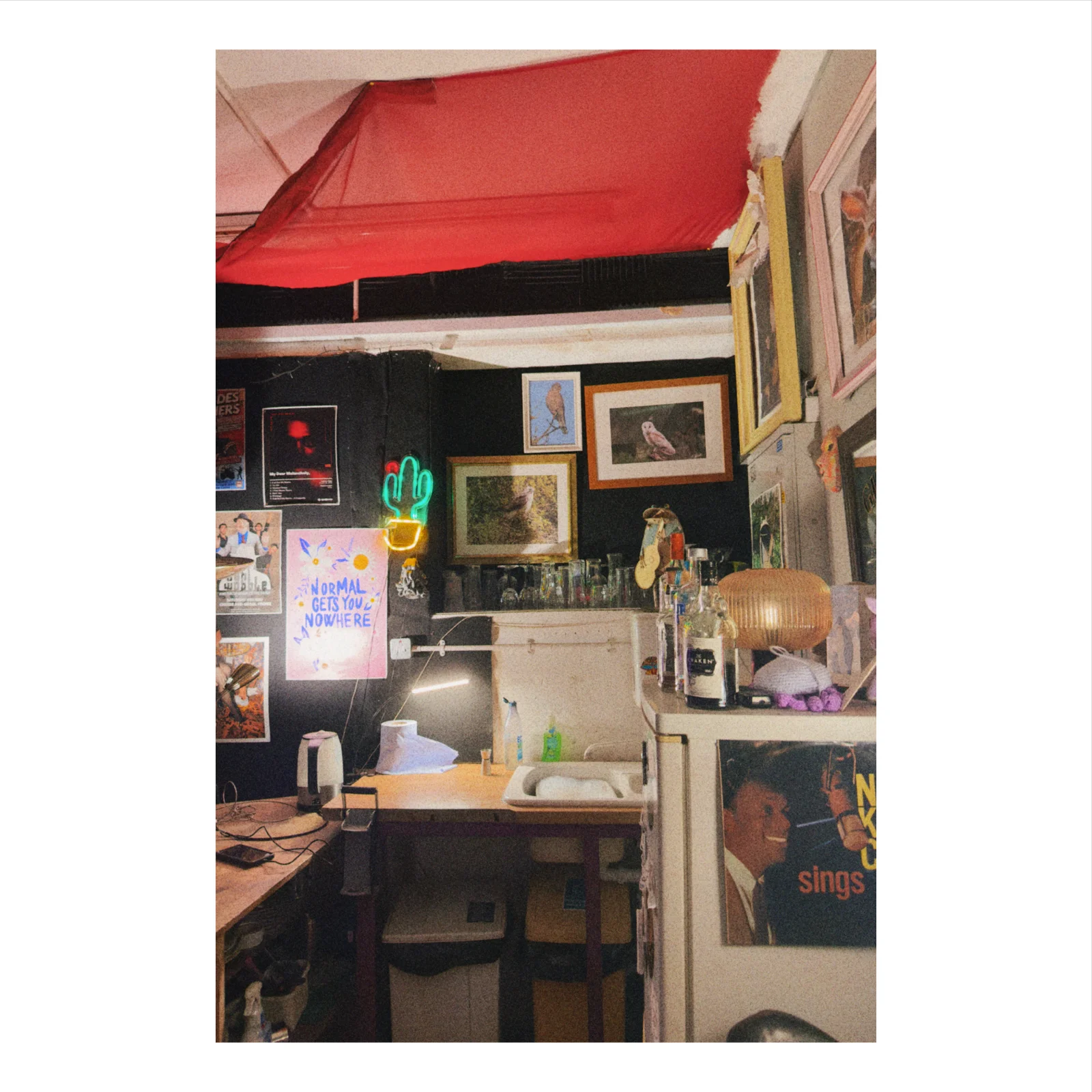 Octopus Studios